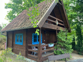 domek Pluski in Pluski